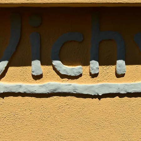 Vichyenichy